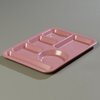 Carlisle Trays 4398193