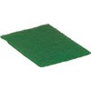 Scour Pads