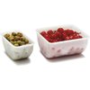 Condiment Station Replacement Insert