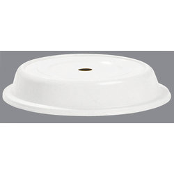 91085202 - COVER 11 1/2"PLT PLYGLS BONWHT