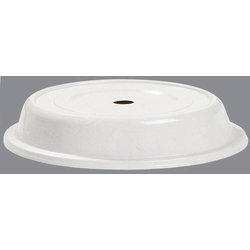 91090203 - COVER 12 1/2"PLT PLYGLS LTGRY