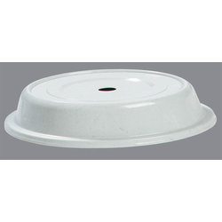 91065203 - COVER 10 1/2" PLT PLYGLS LTGREY