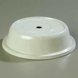 91040203 - COVER 9.8125"PLATE PLYGLS LGRY