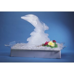 Illuminated Trays