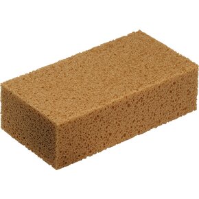 Sponges