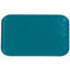 4532FG016 - Glasteel™ Solid Euronorm Tray 17-23/32", 12-19/32", 21/32" - Peach