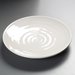 4340442 - Terra™ Dinner Plate 9-17/32", 9-17/32", 1-7/16" - Bone