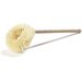 Scrub Brushes