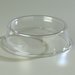 199207 - Clear Plate Cover "Pin Fired" 10-1/2" to 10-5/8"  - Clear