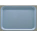 1814FG013 - Glasteel™ Solid Rectangular Tray 18", 14", 3/4" - Ice Blue