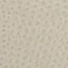 59045252SM473 - Relic Tablecloth 52" x 52" - Limestone