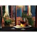 564007 - Alibi™ 8 oz Champagne Flute 8 oz - Clear