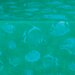 5802 Shell-Fish