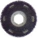 361100G60-5N - Colortech™ Colortech™ Purple Aggressive Stripping Brushes 11" - Purple 11" - Purple