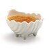 033802 - Sea Shell Sauce Cup 2 oz - White