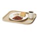 Polycarbonate Tray
