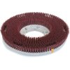 Colortech Red Rotary Grit Brush 17 - Red