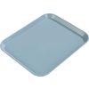 Glasteel Solid Rectangular Tray 16.4 x 12 - Ice Blue