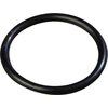 Cylinder O-Ring for SS Pump 38550R