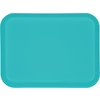 Glasteel Solid Rectangular Tray 13.75 x 10.6 - Turquoise