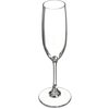 Alibi Plastic Champagne Flute 6 oz (4ea) - Clear