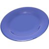 Durus Melamine Dinner Plate Wide Rim 10.5 - Ocean Blue