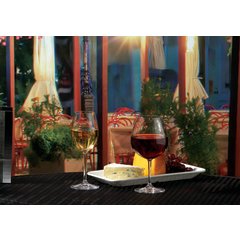 564107 Alibi™ All Purpose Balloon 22 oz - Clear