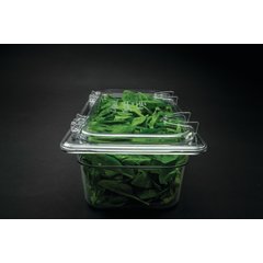 10319Z07 StorPlus™ EZ Access Hinged Notched Universal Food Pan Lid 1/6 Size - Clear