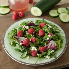 5400246 Mingle™ Melamine Dinner Plate 9" - Jade