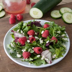 4380302 Epicure® Melamine Dinner Plate 8" - White