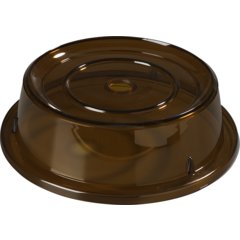 1989E13 European Pin-Fired Plate Cover 10-3/16" to 10-1/4" 10.25" - Amber