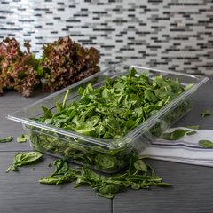 10201B07 StorPlus™ Polycarbonate Food Pan Full-Size, 4" Deep - Clear