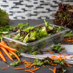 3066007 StorPlus™ Polycarbonate Food Pan 1/3 Size, 2 1/2" Deep - Clear