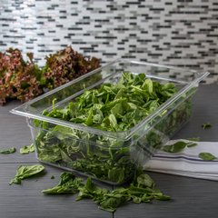 10202B07 StorPlus™ Polycarbonate Food Pan Full-Size, 6" Deep - Clear