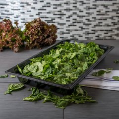 10200B03 StorPlus™ Polycarbonate Food Pan Full-Size, 2.5" Deep - Black