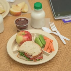 4351625 Dallas Ware® Melamine 3-Compartment Deep Plate 9" - Tan