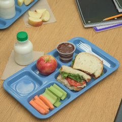 4398392 Right-Hand Space Saver 6-Compartment Melamine Tray 9" x 15" - Sandshade