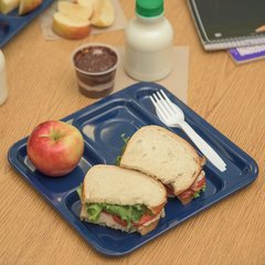 4398450 Right Hand 4-Compartment Melamine Tray 10" x 9.75" - Dark Blue