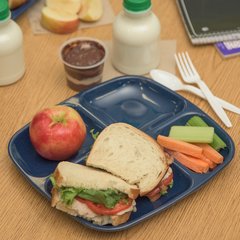 4398635 Essential 4-Compartment Melamine Tray 10.5" x 9.5" - Café Blue