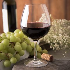 564107 Alibi™ All Purpose Balloon 22 oz - Clear