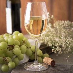 564507 Alibi™ White Wine 8 oz - Clear