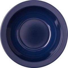 PCD30550 Polycarbonate Rimmed Fruit Bowl 5 oz - Dark Blue