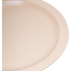 PCD21025 Polycarbonate Narrow Rim Plate 10" - Tan