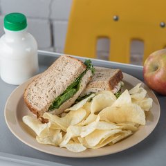 PCD21025 Polycarbonate Narrow Rim Plate 10" - Tan