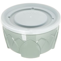 DX53008714 Fenwick Translucent Bowl Lid 4.5" (1000/cs) - Translucent