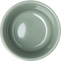 DX530084 Fenwick Bowl 9 oz. (48/cs) - Sage