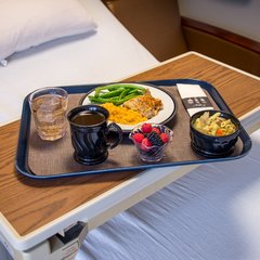 DX1089I50 Glasteel™ Flat Tray 14" x 18" (12/cs) - Dark Blue