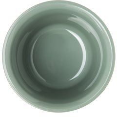 DX520084 Fenwick Bowl 5 oz. (48/cs) - Sage