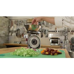 SCMDL25 NSF LISTED MS-SERIES DIAL SCALE 25 LB  - Stainless Steel