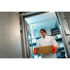 FGI-OR Frozen Food Glove 1 - Orange